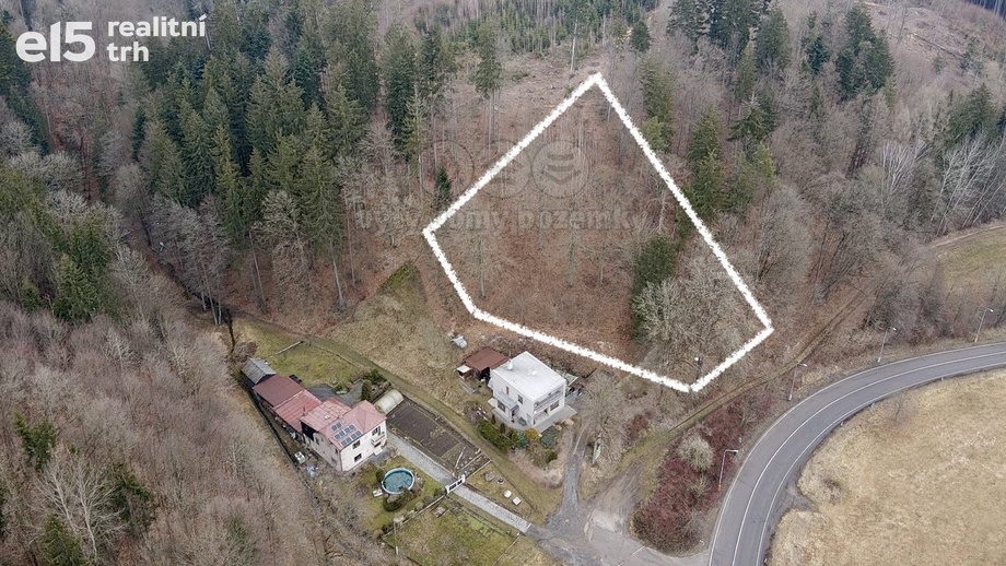 Prodej lesy, 2 745 m² - Ústí nad Orlicí - Oldřichovice