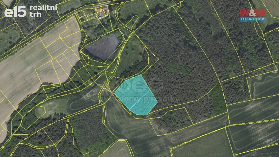 Prodej lesy, 8 354 m² - Neveklov - Bělice