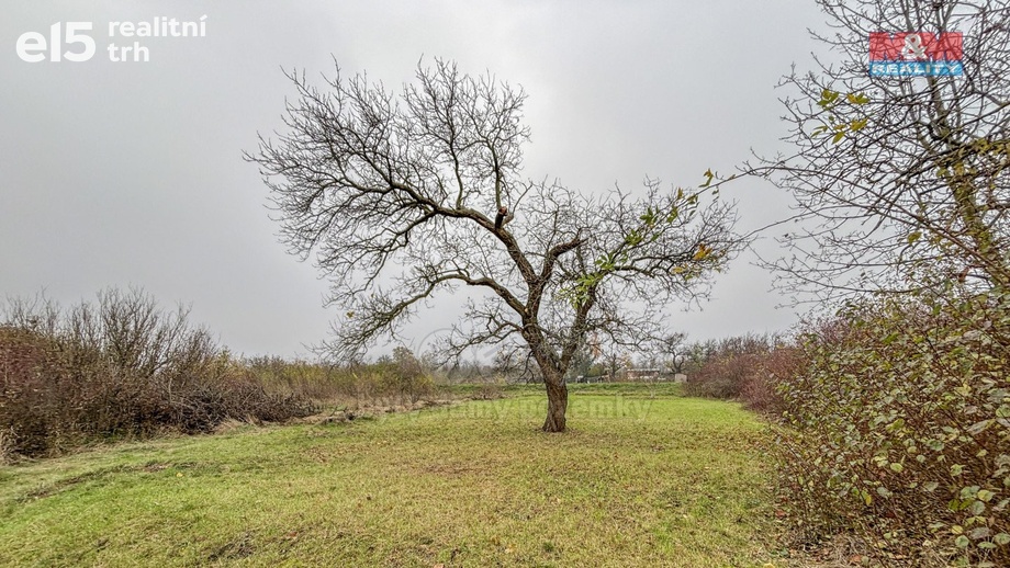 Prodej zemědělská půda, 468 m² - Třebenice