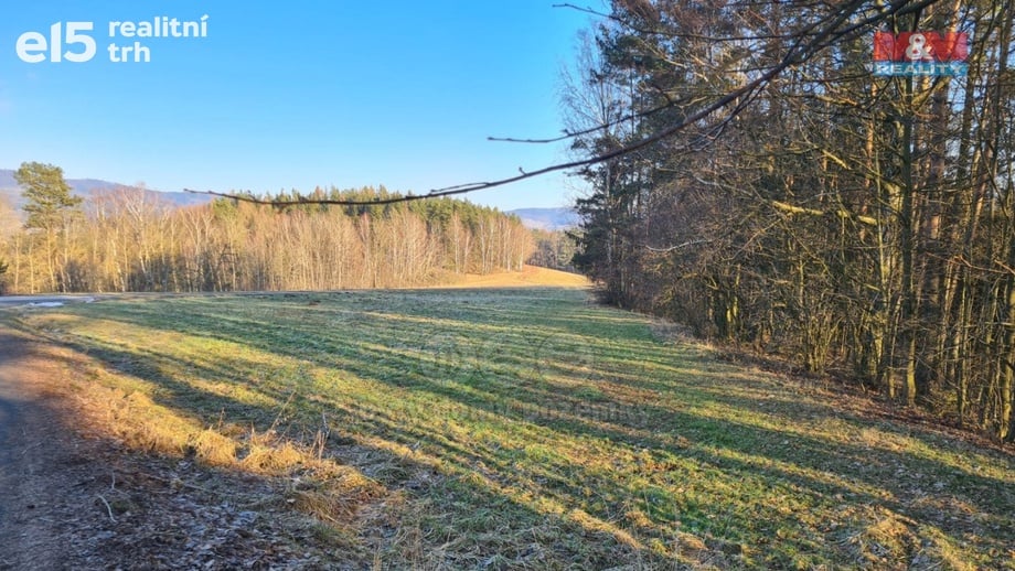 Prodej pozemky - trvalý travní porost, 1 845 m² - Batňovice