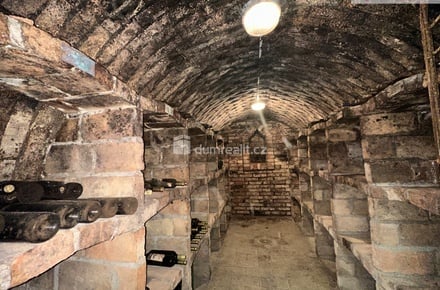 Prodej vinného sklepa 61 m², Čejkovice