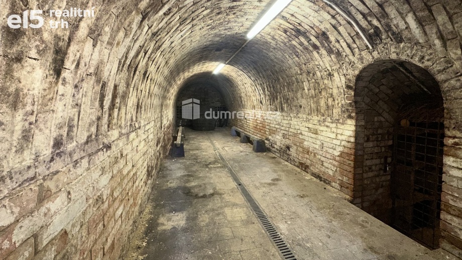 Prodej vinný sklep, 61 m² - Čejkovice