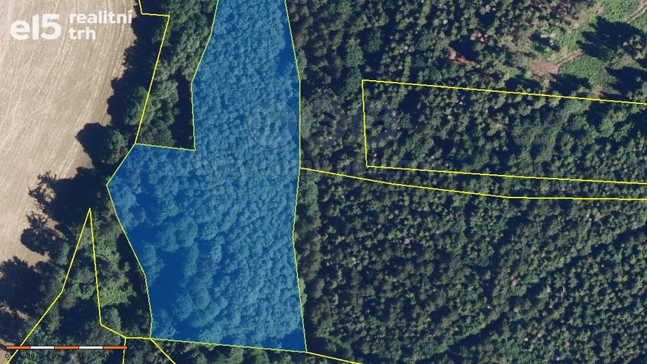 Prodej lesy, 8 566 m² - Jiříkov