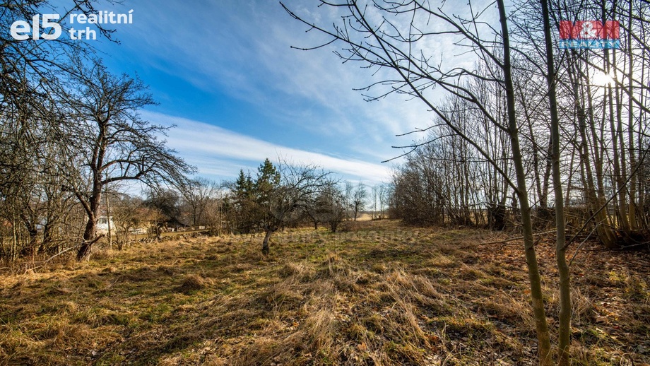 Prodej pozemky pro bydlení, 3 049 m² - Proseč - Česká Rybná