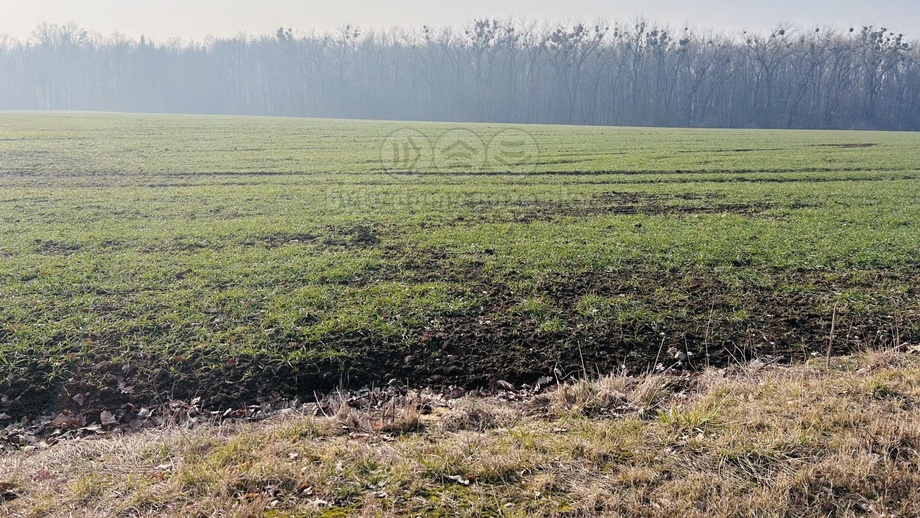 Prodej pole 3 509 m², Frýdek-Místek