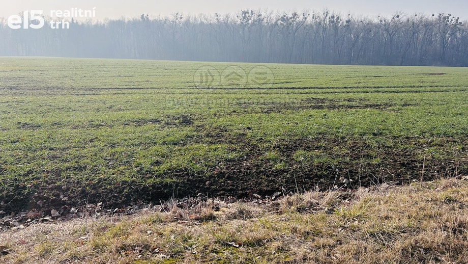 Prodej zemědělská půda, 3 509 m² - Frýdek-Místek