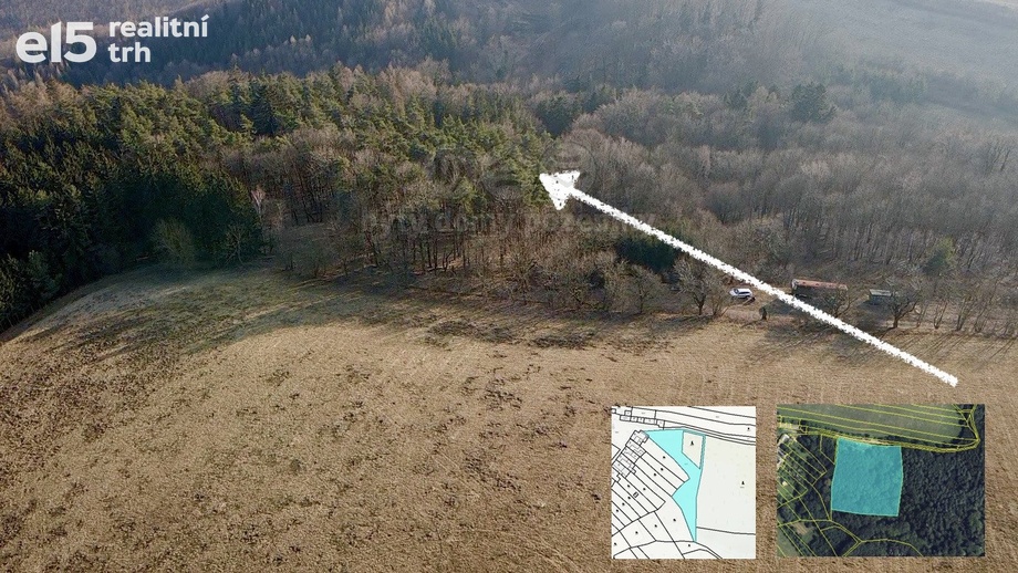 Prodej lesy, 81 768 m² - Městečko Trnávka - Stará Roveň
