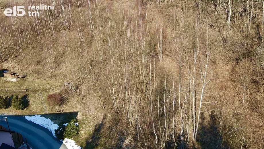 Prodej pozemky - trvalý travní porost, 3 087 m² - Hanušovice