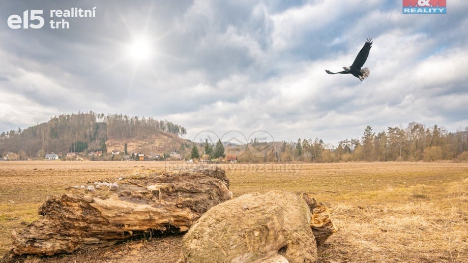 Prodej pozemky - trvalý travní porost, 14 575 m² - Poříčí nad Sázavou