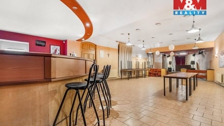 Prodej nemovitosti pro ubytování 170 m², Bílina - Mostecké Předměstí