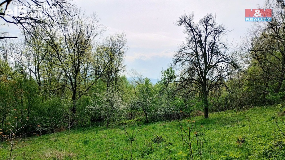 Prodej pozemky - zahrady, 1 436 m² - Jeseník nad Odrou - Hůrka