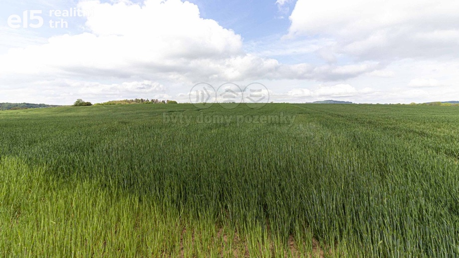 Prodej zemědělská půda, 10 902 m² - Miskovice - Bylany