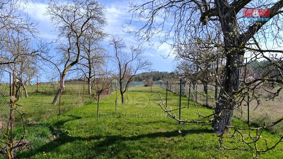 Prodej pozemky - zahrady, 1 263 m² - Čebín