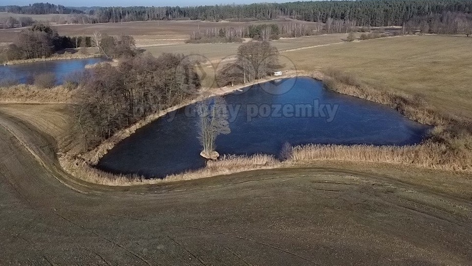 Prodej rybníku 13 920 m², Ratiboř