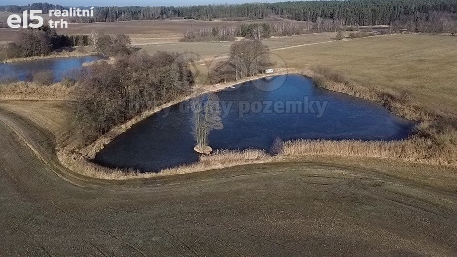 Prodej rybník, 13 920 m² - Ratiboř