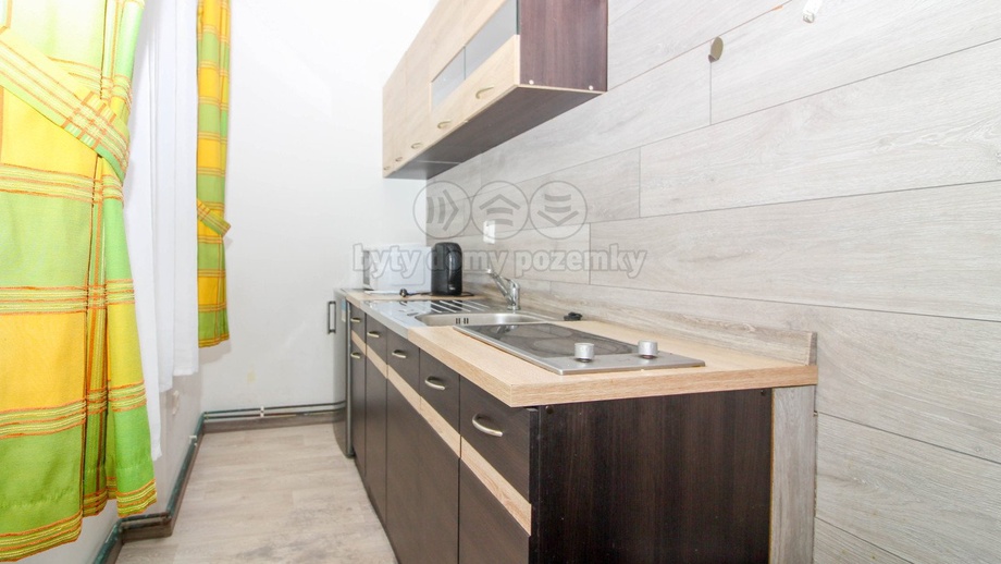 Pronájem byty 1+kk, 28 m² - Svor - Rousínov