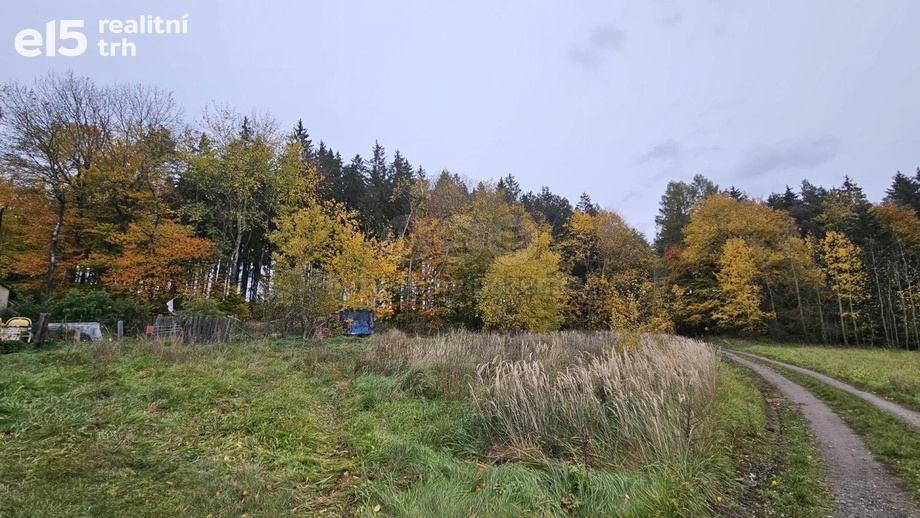 Prodej pozemky - trvalý travní porost, 922 m² - Hynčina