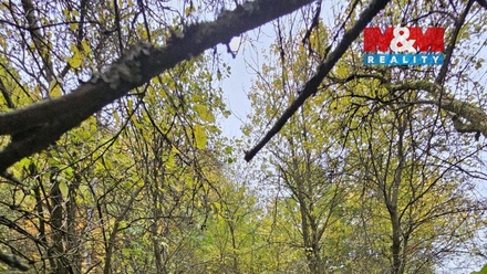 Prodej louky 1 687 m², Hynčina