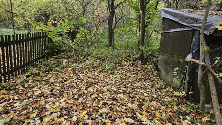 Prodej louky 1 687 m², Hynčina