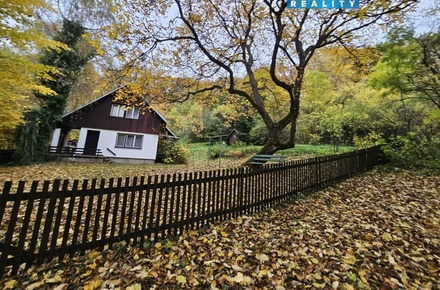 Prodej louky 1 687 m², Hynčina