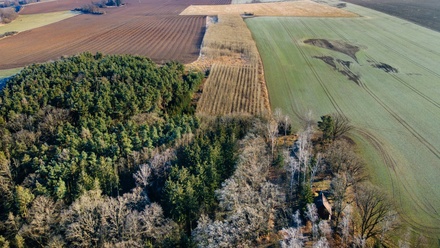 Prodej pole 24 512 m², Horšovský Týn