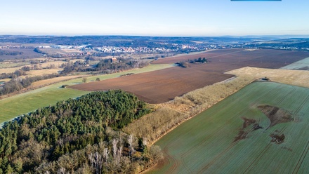 Prodej pole 24 512 m², Horšovský Týn