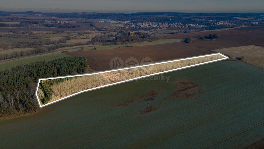 Prodej pole 24 512 m², Horšovský Týn