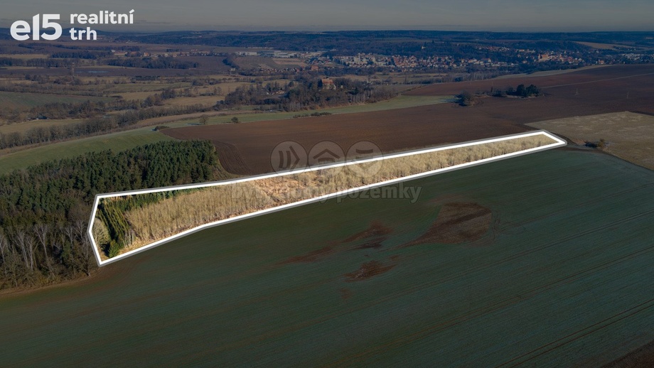 Prodej zemědělská půda, 24 512 m² - Horšovský Týn - Podhájí