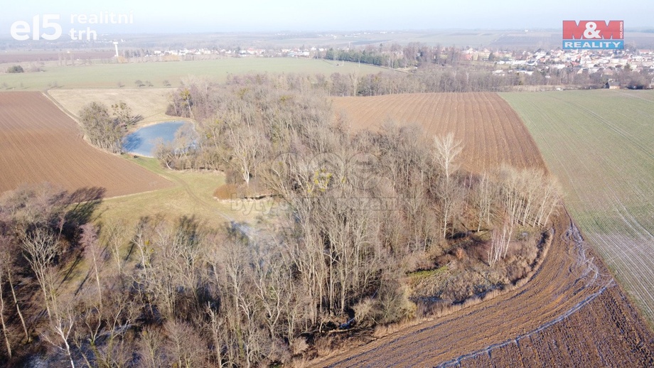 Prodej lesy, 2 716 m² - Neplachovice