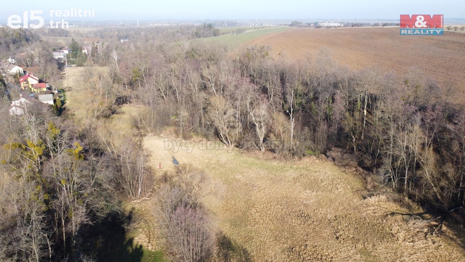 Prodej lesy, 4 916 m² - Neplachovice
