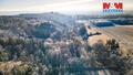 Prodej lesa 685 m², Horšovský Týn