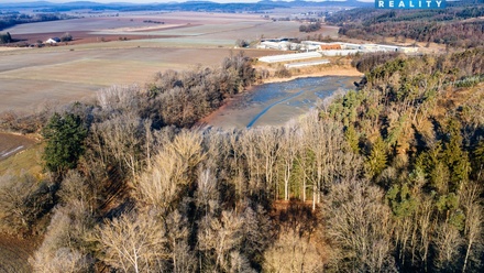 Prodej lesa 685 m², Horšovský Týn