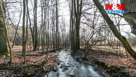 Prodej lesa 685 m², Horšovský Týn