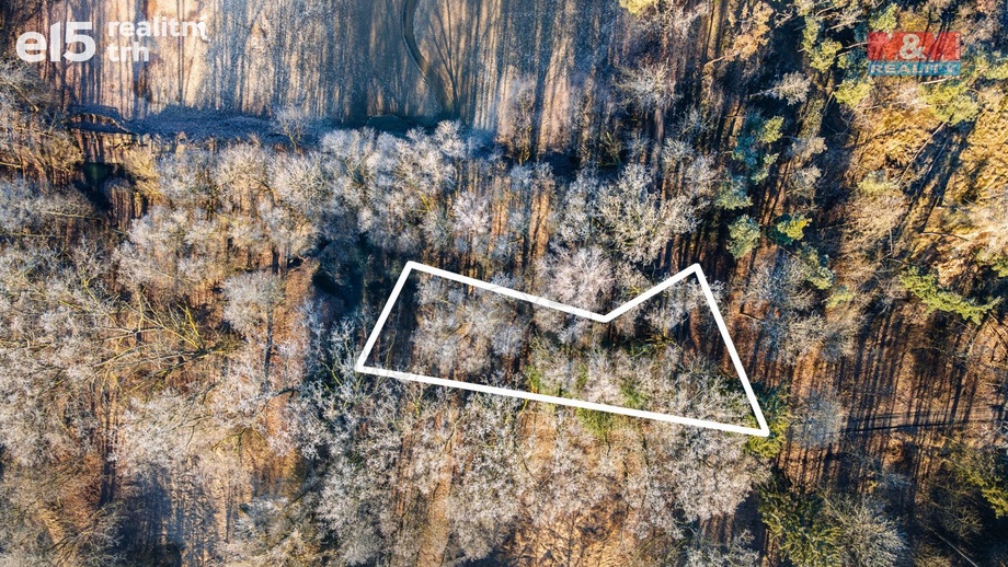 Prodej lesy, 685 m² - Horšovský Týn