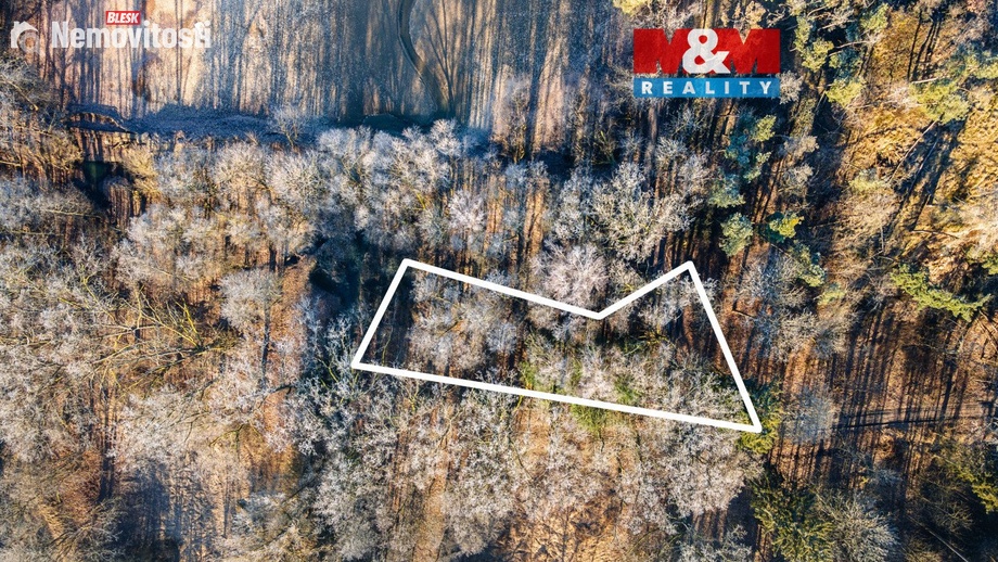 Prodej lesa 685 m², Horšovský Týn