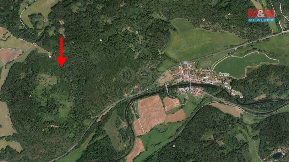 Prodej lesy, 8 758 m² - Rabí - Čepice