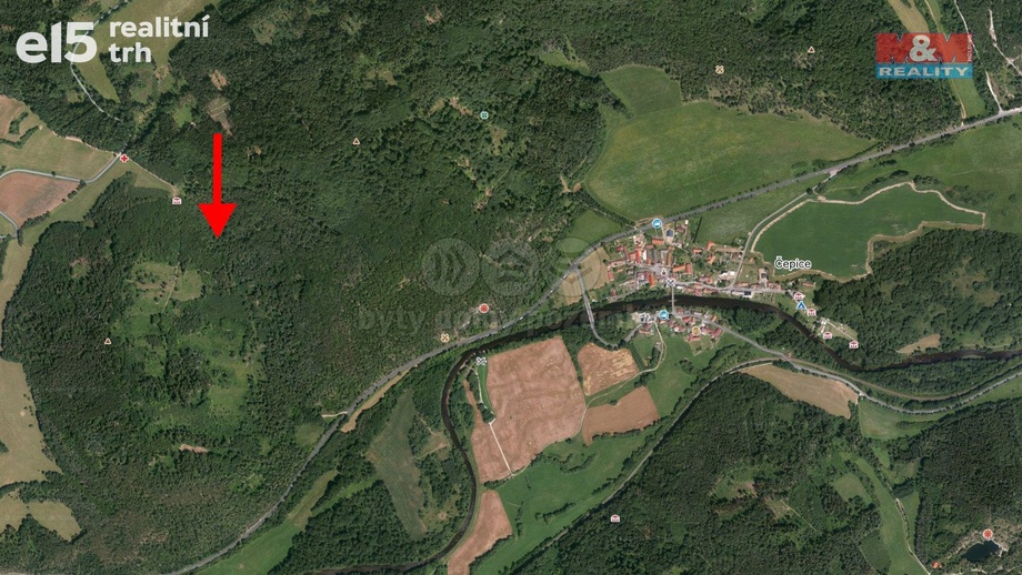 Prodej lesy, 8 758 m² - Rabí - Čepice
