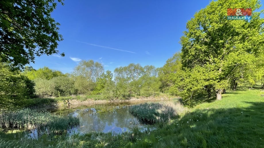 Prodej rybníku 1 618 m², Hrejkovice - Níkovice