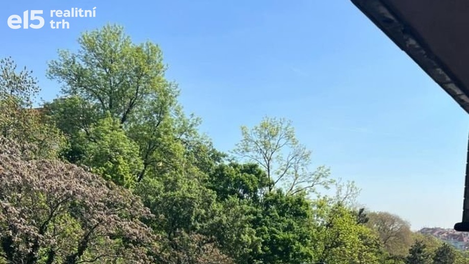 Prodej byty 1+1, 45 m² - Praha - Vinohrady