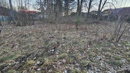 Prodej pole 1 439 m², Odry