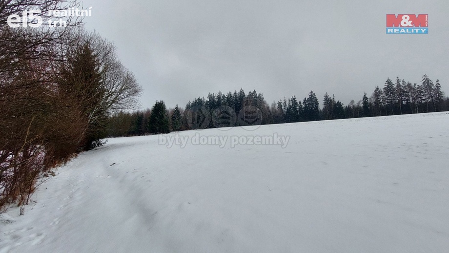 Prodej lesy, 60 981 m² - Česká Třebová - Svinná