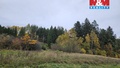 Prodej pole 1 278 m², Bělá u Jevíčka