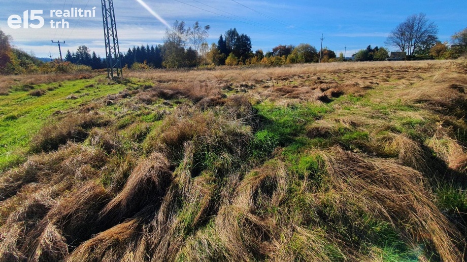 Prodej pozemky - trvalý travní porost, 10 565 m² - Rumburk