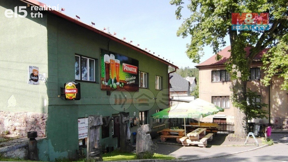 Prodej rodinné domy, 590 m² - Česká Čermná