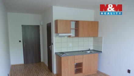 Pronájem bytu 1+kk 22 m², Ostrava-Jih