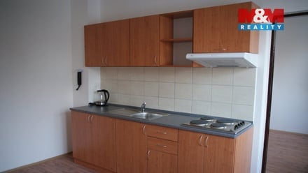Pronájem bytu 1+1 45 m², Ostrava-Jih