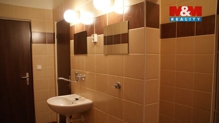 Pronájem bytu 1+1 45 m², Ostrava-Jih