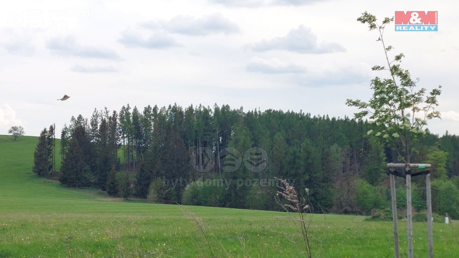 Prodej ostatní pozemky, 2 216 m² - Václavov u Bruntálu - Horní Václavov