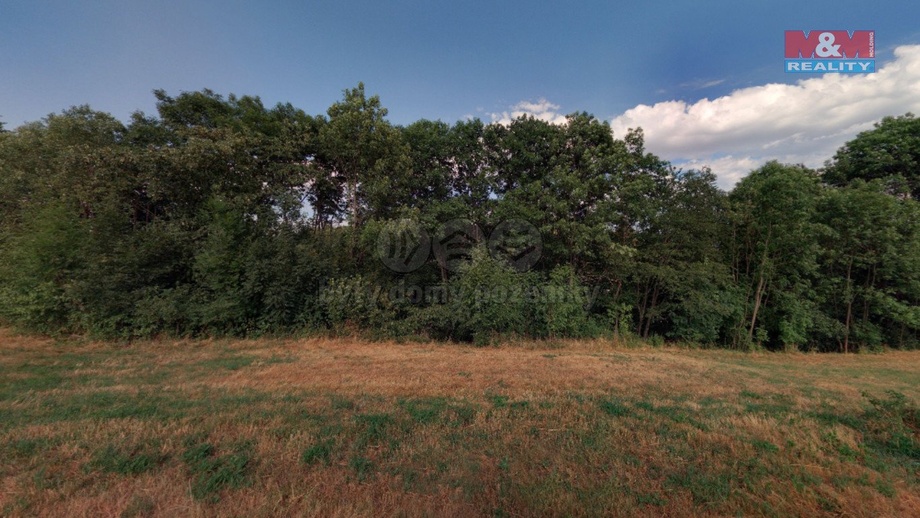 Prodej lesy, 1 393 m² - Lipová - Hrochov