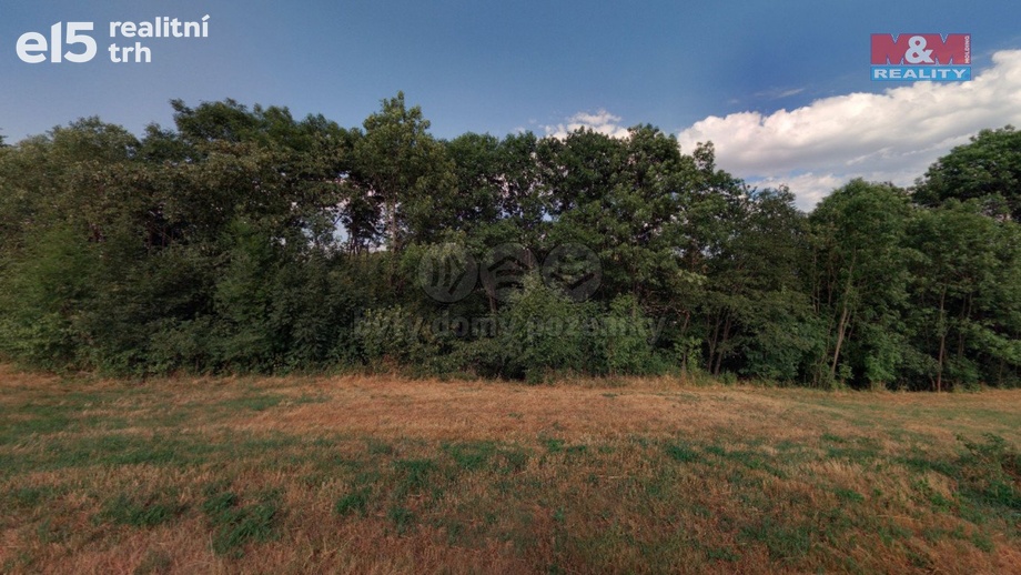 Prodej lesy, 1 393 m² - Lipová - Hrochov